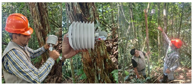 Instalación de equipos micro climáticos en parcelas de investigación del Bosque Reservado de la Universidad Nacional Agraria de la Selva.