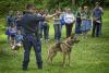 Demonstration by Rockville City Police K-9 Unit - Photo credit: Lillis Werder