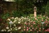 image00003
