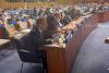 Czech Republic EU Fourth Committee UN GA