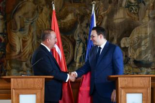 Czech and Turkish foreign ministers.