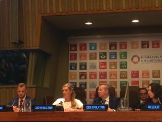 HLPF National Voluntary Review