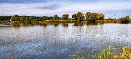 Podzim na rybnících