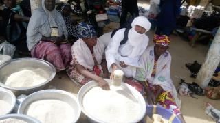 Mali - Podpora potravinové bezpečnosti a živobytí vnitřně vysídlených rodin v oblasti Gourma Rharous (Realizátor: ADRA)
