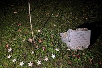 O stromu naděje pohledem dětí