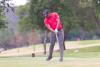 Excellent golf skills by all players