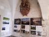 Ambassador Král opened the exhibition in Kuressaare