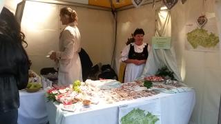 Embassy Festival 2015