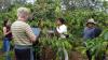 MENDELU foresters in Cambodia