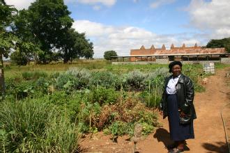 Farma v Gweru
