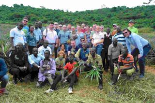 visit of pineapple farm