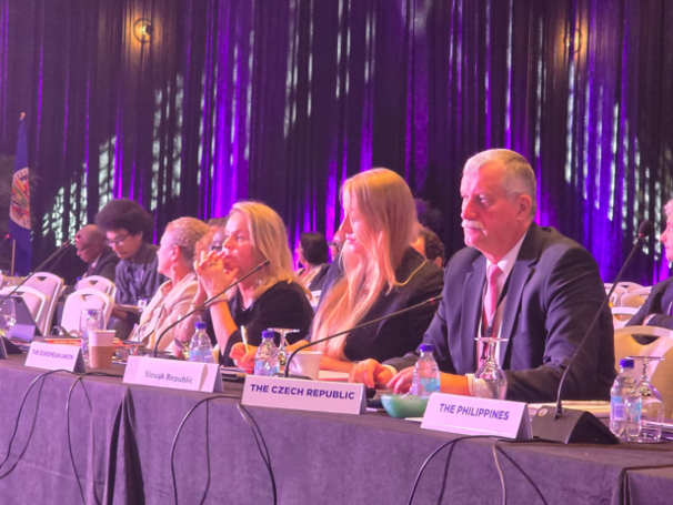 Sesión plenaria de la Semana Diplomática