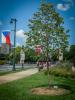Havel Corner, author: Zuzana Dvorakova