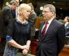 ministr Zaorálek se švédskou ministryní Wallstrom