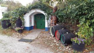 Plze wine cellars 