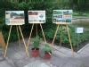 Riga Flower Show 2012_3