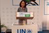 UNEA ECOSOC Nairobi