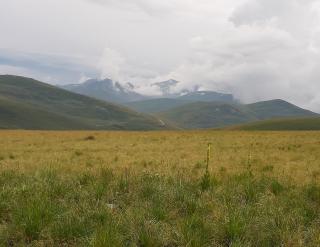 Head of the Embassy visited the Gora region