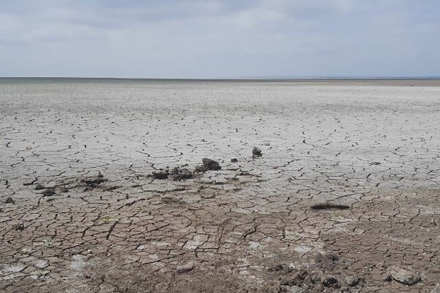 Česko podporuje odstraňování válečných ekologických katastrof na Ukrajině. Ve spolupráci s programem UNEP se zaměřilo na Kachovskou přehradu