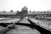 Internation Holocaust Memorial Day