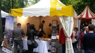 Embassy Festival 2015