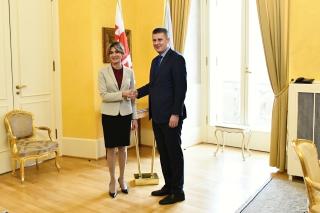 Ministr Petříček přijal novou velvyslankyni Gruzie.