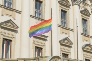 Statement of the MFA on the International Day Against Homophobia