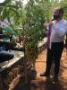 Ambassador Skolil decorating a tree