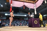 Český pohár předán vítězi jarního Grand Sumo Tournament v Ósace