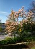 Jardin_PW_4_page-0001