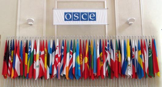 ​  Flags of the OSCE participating States (OSCE/Mikhail Evstafiev) ​