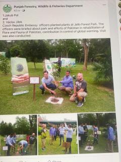 Jallo Park