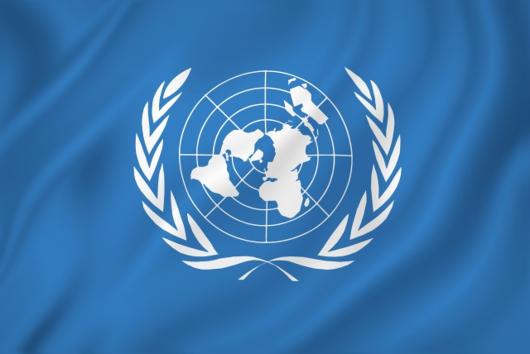 OSN vlajka