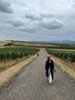 Moravia Wine Tour