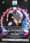 Davis cup Bratislava