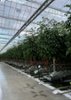 Smart Agri