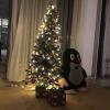 Christmas with the Czech Little Mole