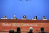 SDG7 Conference ECOSOC