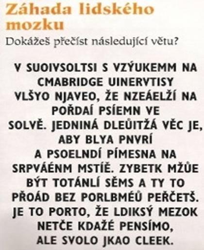 Lidský mozek